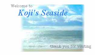 welcome to Koji's SeasideƏlӂ̎ʐ^